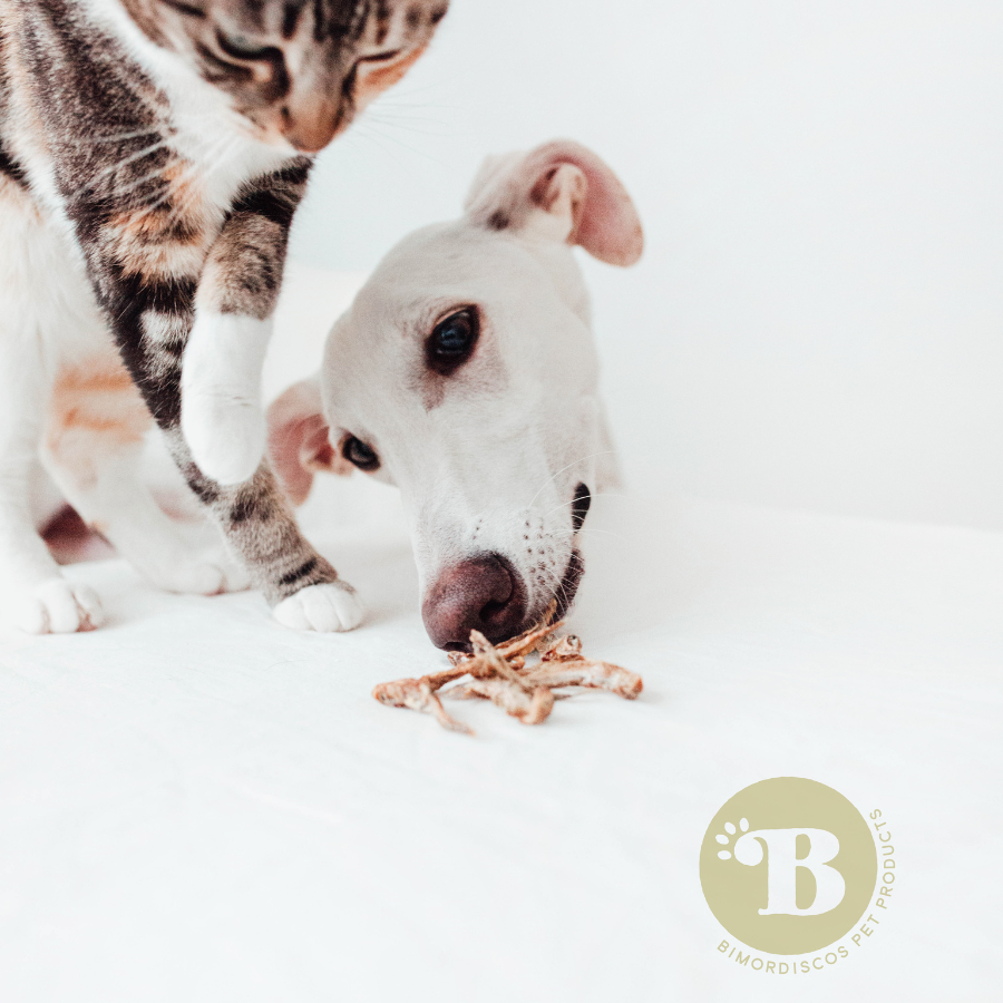 BIMORBOX Gold Ocean - Pack  Snacks y Productos Mar&iacute;timos para Perros, , large Imagen numero 5